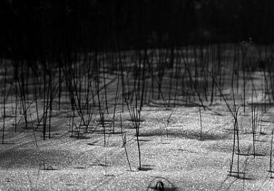 表示看的词语一个字的(推荐73句)