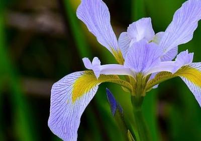 著名四字词语(实用50句)