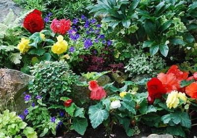 赞美小女孩的词语(汇总40句)