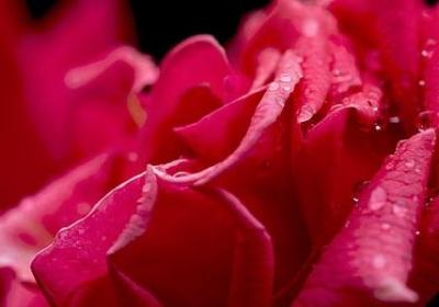 词语在文中的作用(汇总8句)