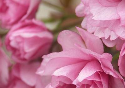 赞美爷爷的词语(汇总80句)