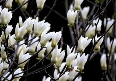 词语重复的病句(精选80句)