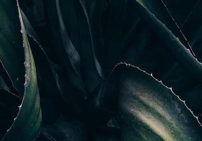 被感动的词语(40句)