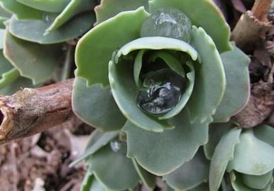 赞美书法的词语(共40句)