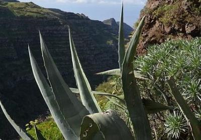 表示颜色的三字词语(40句)