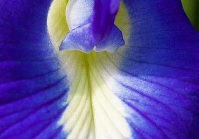 曹操说过的名言(40句)