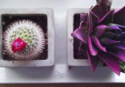 有关文化的名言(60句) 有关文化的名言(60句)