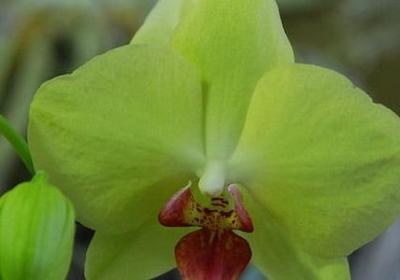 闲怎么组词语(合集60句)