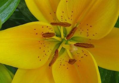 铸可以组什么词语(精选40句)