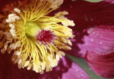 水浒传的名言名句(热门70句)