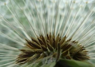 泰戈尔名人名言(实用40句)