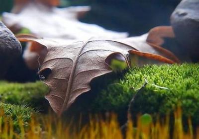 海明威的名言(精选27句)