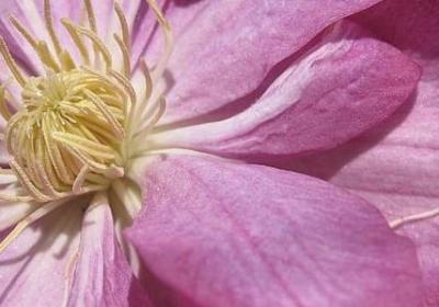 激励学习的名言名句(60句)