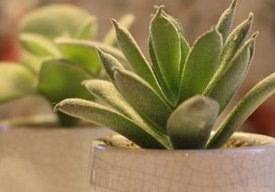 活在当下的名言(必备80句) 活在当下的名言(必备80句)