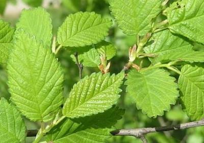 爱心名人名言(精选11句) 爱心名人名言(精选11句)