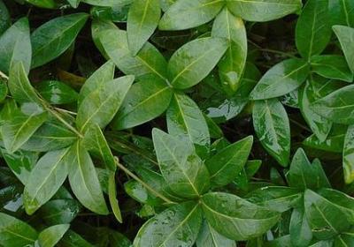 榜样的名人名言(实用80句) 榜样的名人名言(实用80句)