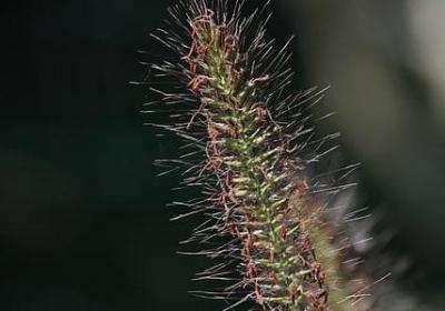 正能量名言名句(汇总80句) 正能量名言名句(汇总80句)