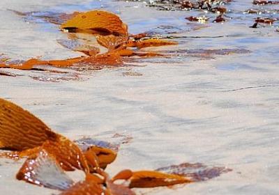 爱因斯坦说过的名言(热门50句)