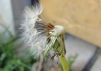 激励学习的名言警句(推荐40句)