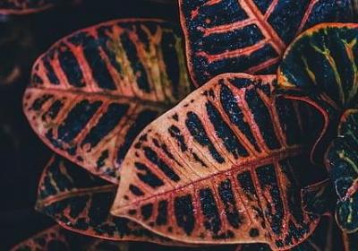 激励自己名言(优选80句)