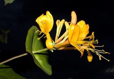 母爱父爱的名言(精选10句)