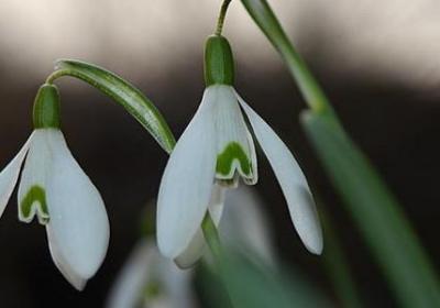 理想的名言名句(必备81句)