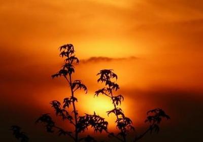 正能量的名人名言(合集80句)