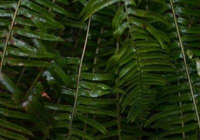 短的名人名言(合集80句)