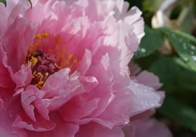 正能量的名言(69句)