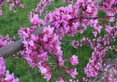 环境的名人名言(共58句)