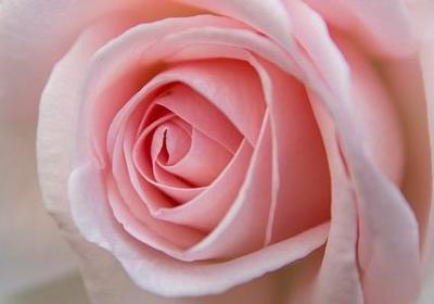 海明威老人与海名言(优选10句)