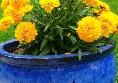 珍惜生命的名人名言(通用80句)