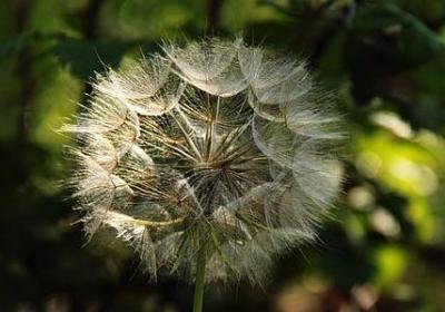 珍惜机会的名言(热门50句)