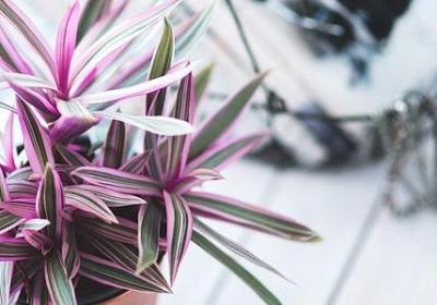 父母之爱的名言(40句)