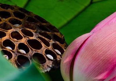 爱迪生说过的名言(推荐34句)