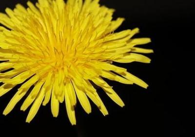 朱熹名言名句(必备100句)