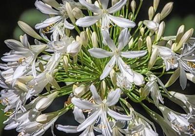 爱因斯坦的名人名言(汇总10句)