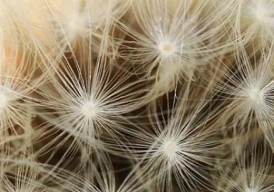 泰戈尔名言名句(热门60句)