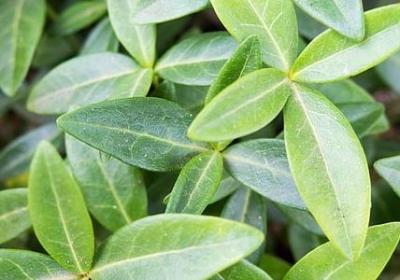 苏格拉底名言英文(精选80句)