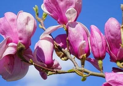 散能组什么词语(汇总7句)