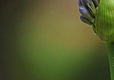 春光什么词语(共70句)