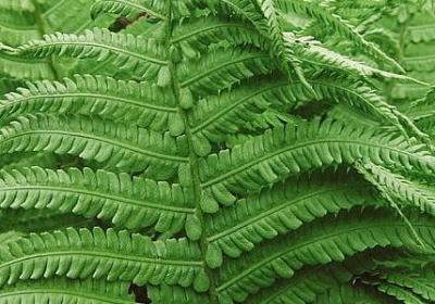 日夜不停的词语(精选41句) 日夜不停的词语(精选41句)