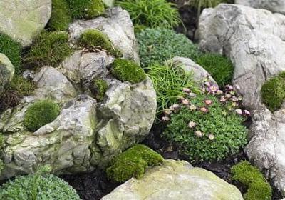 旧词新用的词语(优选20句)