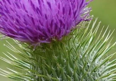 描写镜子的词语(热门40句)