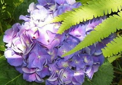 描写春天的好词语(共71句) 描写春天的好词语(共71句)