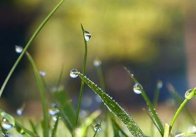 有关联词语的句子(热门80句)