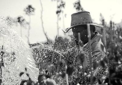 有多音字组词语(推荐70句)