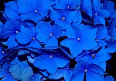 柔软词语接龙(优选81句)