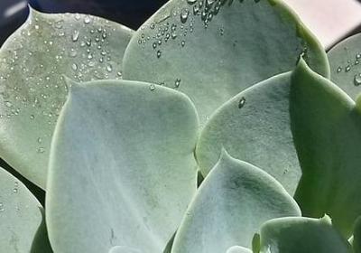 毁组词语有哪些(必备10句)