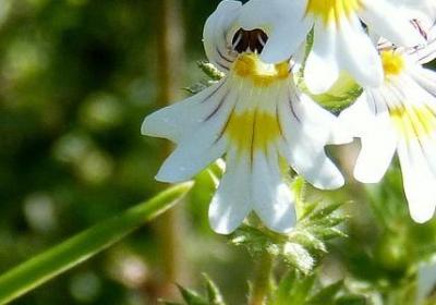 有跳的意思的词语(必备20句)